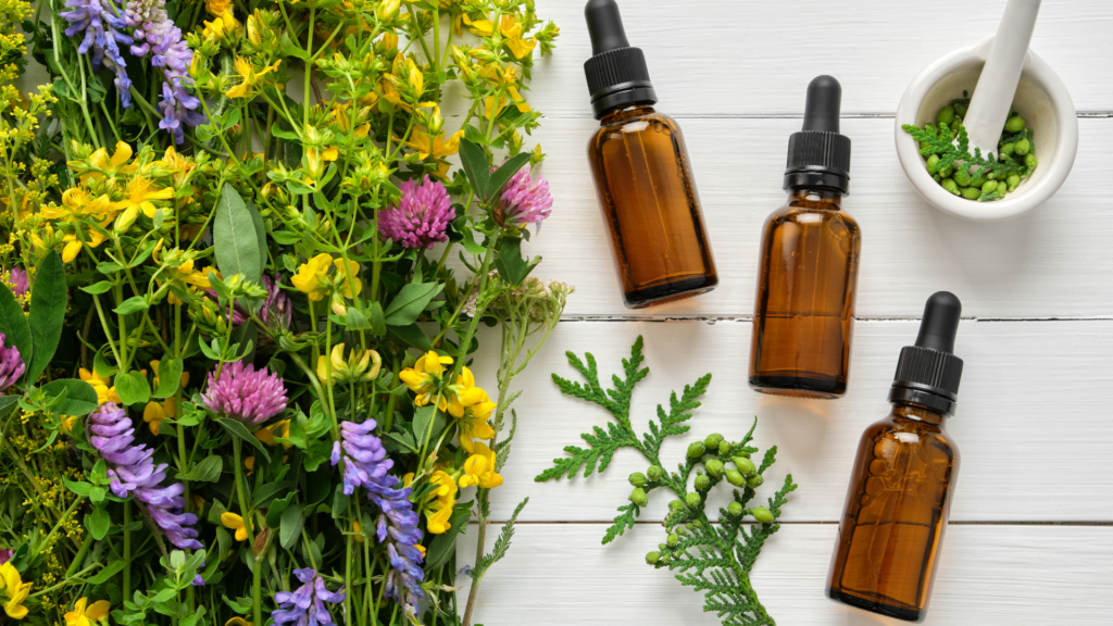 Homeobotanical therapy. 7 Marina Farey Homeopath - Untitled design 2