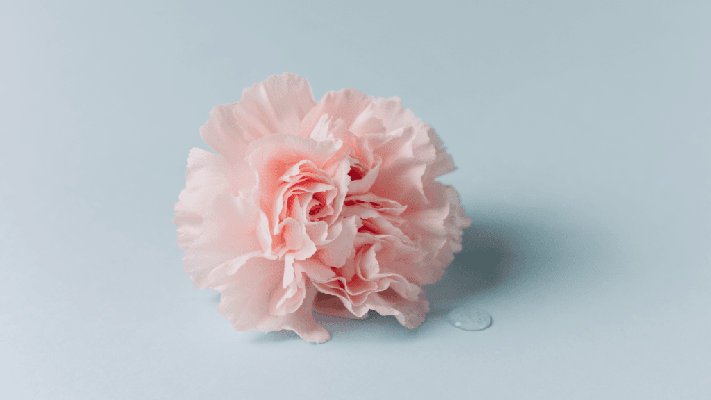 Homeopathy for menopause. 4 Marina Farey Homeopath - Menopause